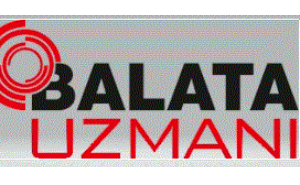 BALATA UZMANI VE OTOMOTİV