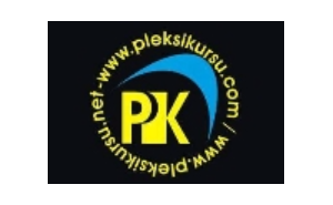 PLEKSİ KÜRSÜ REKLAM VE BİLİŞİM HİZMETLERİ ÜNİVERSAL VERİ KURTARMA