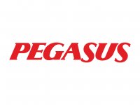 Pegasus Yurtdışı Uçak Bileti