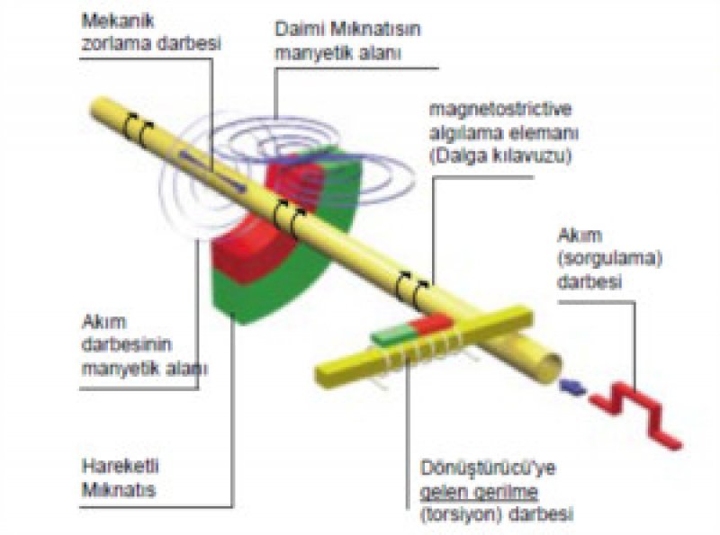 Magnetostrictive Sensör Teknolojisi