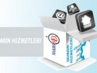 DOMAIN HİZMETLERİ